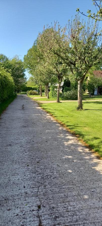 La Ferme Aux Canards Acomodação com café da manhã Sassetot-le-Mauconduit Exterior foto